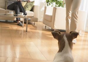 安心の価格帯で注文住宅を建てる