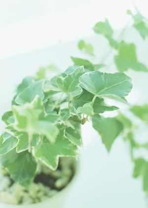 新潟市南区の中古住宅のことなら幸せホーム