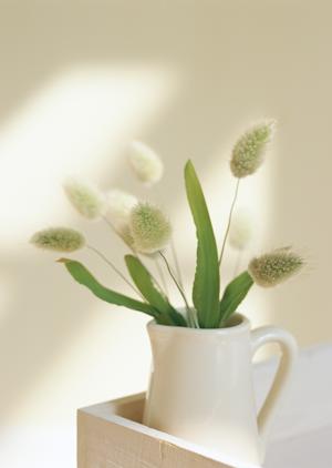 塗装店でかかる費用の見積りを取ろう